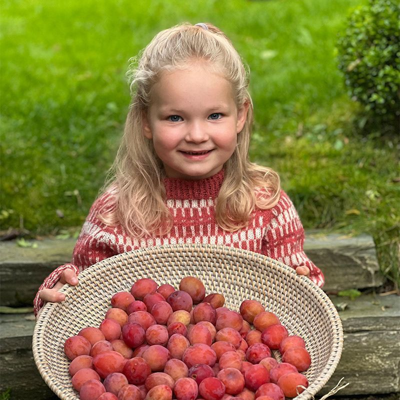Nøstebarns merinoull 100g Granateple