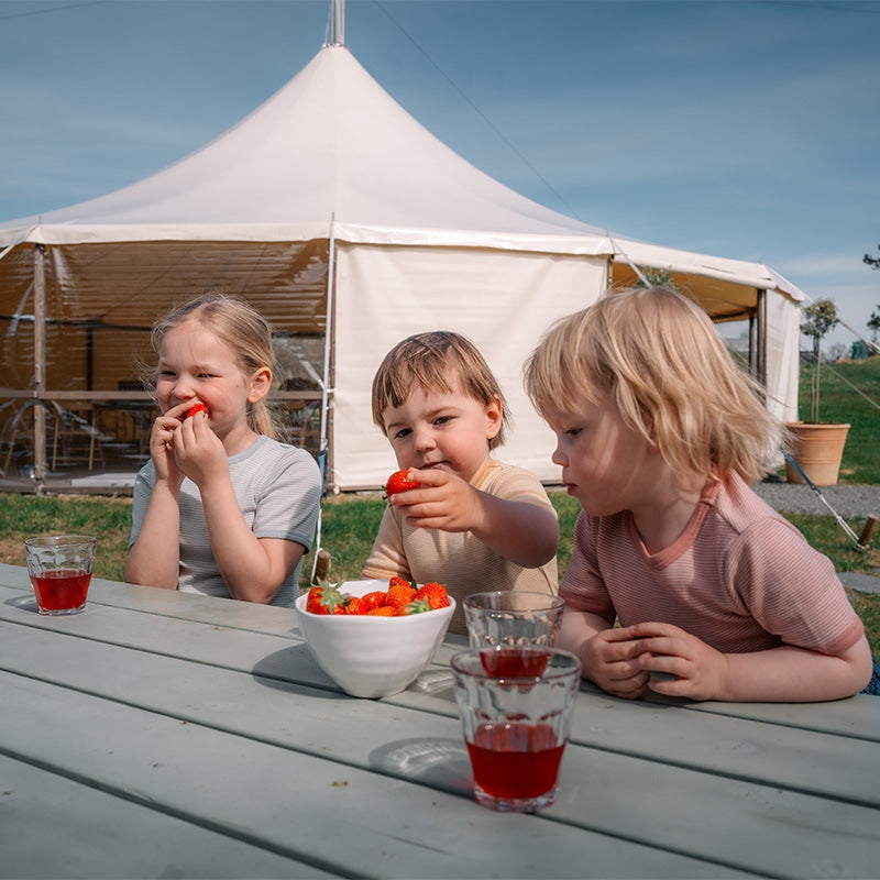 Barnetrøye kort erm ull med silke - Isbre/natur